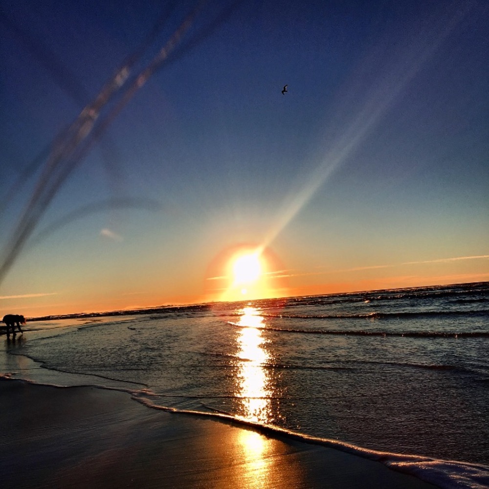 Meet your Posher, Valerie